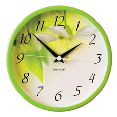 Часы настенные САЛЮТ П-2Б3.4-333, круг, белые с рисунком "Весна", зеленая рамка, 26,5х26,5х3,8 см