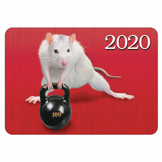 Календарь карманный 2020 г, 7х10 см, ламинированный, "Знак Года-прикольные мышки", HATBER, 326572, Кк7