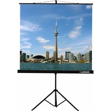 Экран Lumien Eco View LEV-100111, 203х153 см, 4:3, напольный