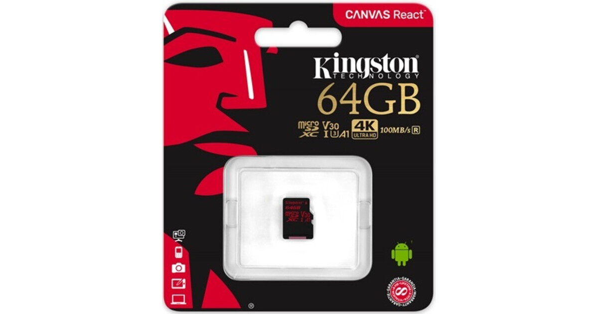 Kingston canvas go microsdxc 64