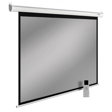 Экран Cactus SIlverMotoExpert CS-PSSME-200X150-WT, 200х150 см, 4:3, настенно-потолочный белый