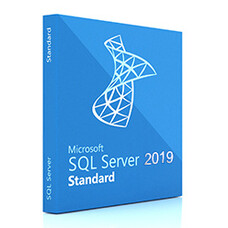 ПО Microsoft SQL Svr Standard Edtn 2019 English DVD 10 Clt (228-11548)
