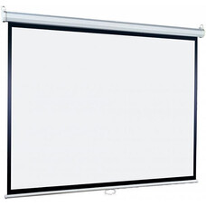 Экран Lumien Eco Picture LEP-100106, 127х127 см, 1:1, настенно-потолочный