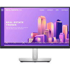 Монитор DELL P2422H 23.8", черный и серебристый [210-azyx]