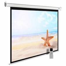 Экран Cactus MotoExpert CS-PSME-220x138-WT, 220х138 см, 16:10, настенно-потолочный белый