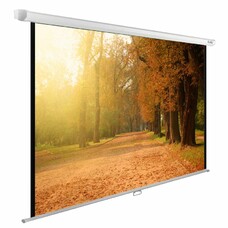 Экран Cactus WallExpert CS-PSWE-200x125-WT, 200х125 см, 16:10, настенно-потолочный