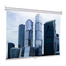 Экран Lumien Eco Picture LEP-100102, 180х180 см, 1:1, настенно-потолочный